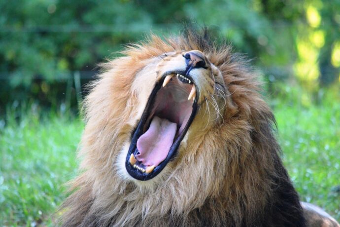 10 tipů na výlet s dětmi v Plzeňském kraji