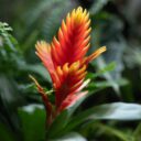 Pestré Velikonoce v rozkvetlé botanické zahradě