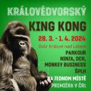 Velikonoční festival překážkových sportů KING KONG ve Dvoře Králové