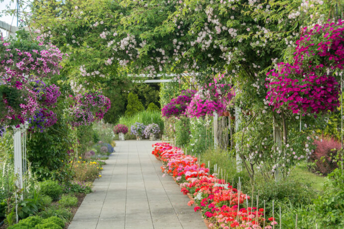 Foto: ©Dendrologická zahrada Průhonice