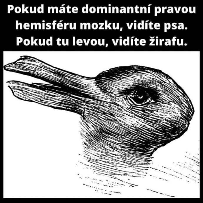 Vtip. Foto © FB Ptákoviny