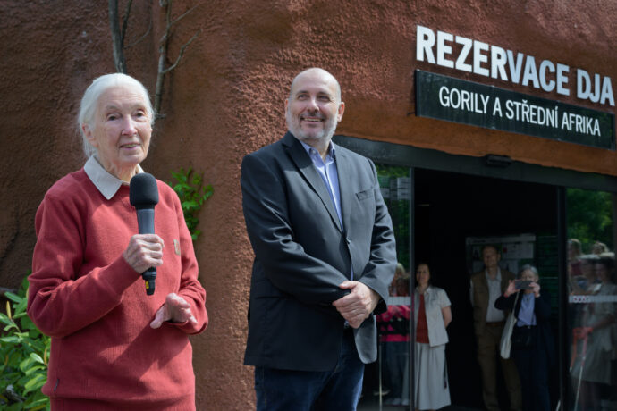 Světoznámá primatoložka Jane Goodall během své řeči před pavilonem Rezervace Dja v Zoo Praha po boku ředitele Zoo Praha Miroslava Bobka. Foto Petr Hamerník, Zoo Praha