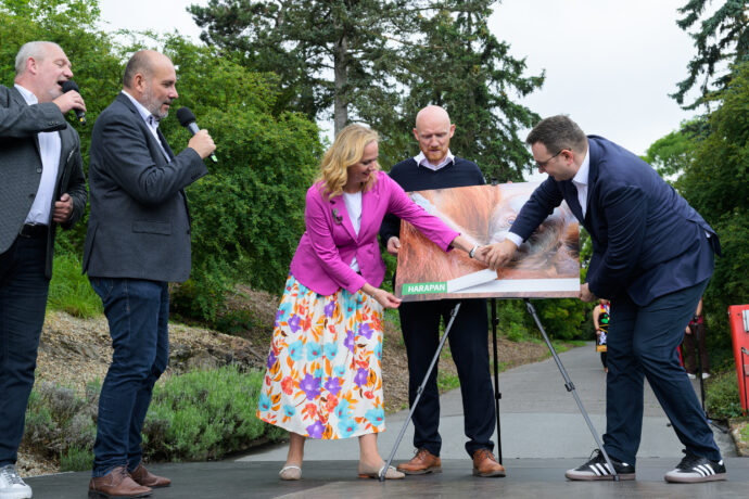 Jméno orangutaního samečka společně odhalili náměstkyně primátora hl. m. Prahy Jana Komrsková, britský velvyslanec Matt Field a ministr zahraničí Jan Lipavský. Zleva slavnostní akt komentují moderátor Jan Kovařík a ředitel Zoo Praha Miroslav Bobek. Foto Petr Hamerník, Zoo Praha