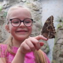 Papilonia - motýlí dům Liberec