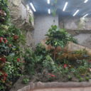 Papilonia - motýlí dům Liberec