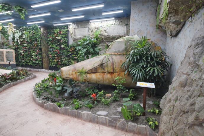 Foto: ©Papilonia - motýlí dům Liberec