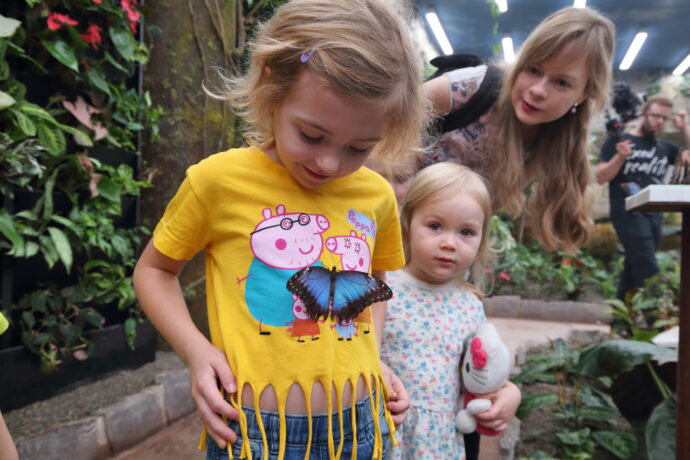 Papilonia - motýlí dům Liberec