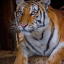 Foto: ©Zoopark Olovnice