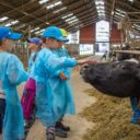 Foto: ©Region Liptov