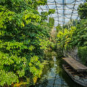 Gondwanaland im Zoo Leipzig – eine der größten Tropenhallen Europas © Adam Kumiszcza | leipzig.travel