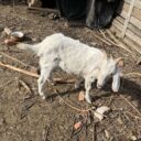 Prokopské údolí. Foto: ©Šárka Kobrynová