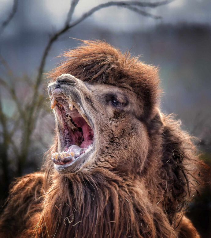 Ošetřovatelů  se můžete zeptat na cokoliv. Foto: ©Zoopark Olovnice 