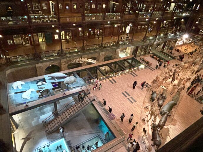 Velká galerie evoluce. Foto:  © K. Pekařová