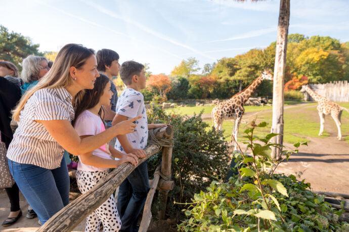 Kiwara Lodge im Zoo Leipzig © Philipp Kirschner | leipzig.travel