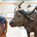 Muzeum Dr.Emil Holuba. Foto: ©Ondřej_Littera