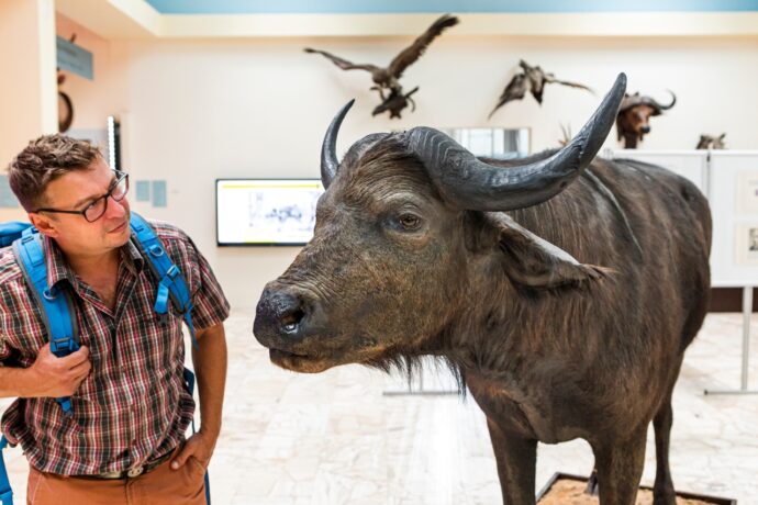 Muzeum Dr.Emil Holuba. Foto: ©Ondřej_Littera