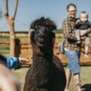 Zoopark Zelčín. Nový rybník v Příbrami. Foto: ©SCCR