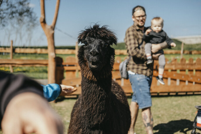 Zoopark Zelčín. Foto: ©SCCR