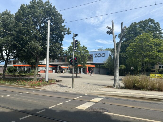 Parkování u Zoo Drážďany. Jen přejdete silnici a jste tam. Foto: ©K. Pekařová 