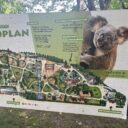 Zoo Drážďany. Foto: K. Pekařová