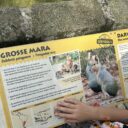 Zoo Drážďany. Foto: K. Pekařová