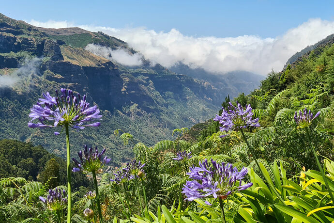 Madeira. Foto: ©CK Mundo