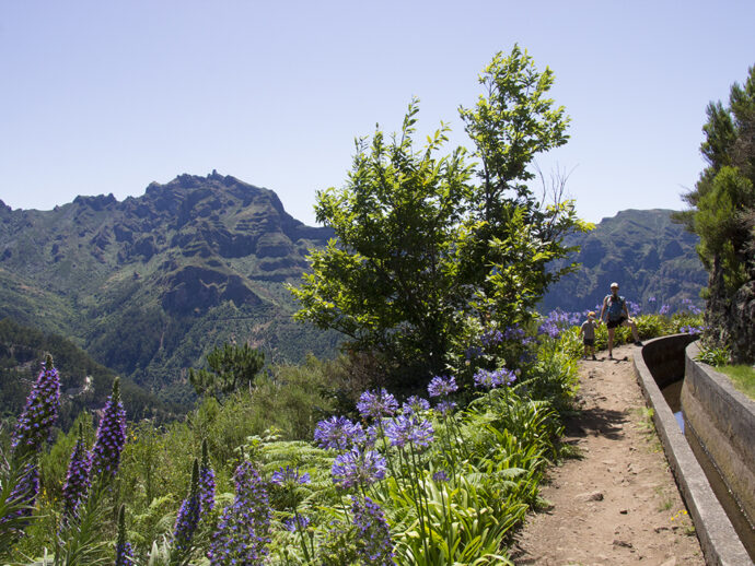 Madeira. Foto: ©CK Mundo