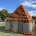 Dýňový svět. Foto: © K. Pekařová