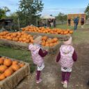 Dýňový svět. Foto: © K. Pekařová