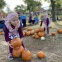 Dýňový svět. Foto: © K. Pekařová