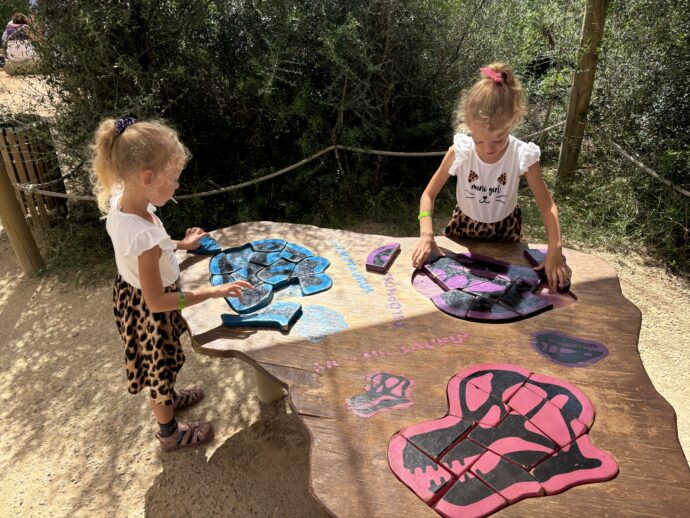 Složit lebku dinosaura nebyla zas taková hračka, jak to vypadá. Foto: © K. Pekařová