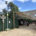 Dinosaurland. Foto: © K. Pekařová