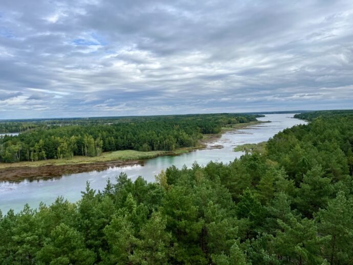 Senftenberger - Lužická jezera s dětmi. Foto: ©Šárka Kobrynová