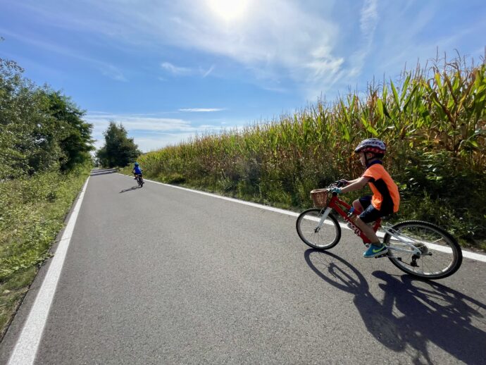 Cyklostezky kolem Lužických jezer a jejich perfektní povrch. Foto: ©Šárka Kobrynová