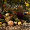 Foto: ©Botanická zahrada hl. m. Prahy