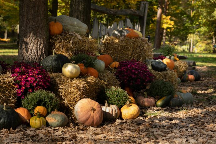 Foto: ©Botanická zahrada hl. m. Prahy