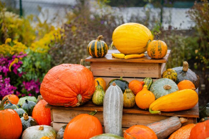 Foto: ©Botanická zahrada hl. m. Prahy