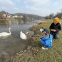 Řeka Berounka v Nižboru. Foto: ©Šárka Kobrynová