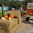 Oskarhausen. Foto: ©K. Pekařová