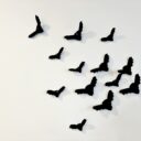 Netopýři na zdi. Autor: © K. Pekařová