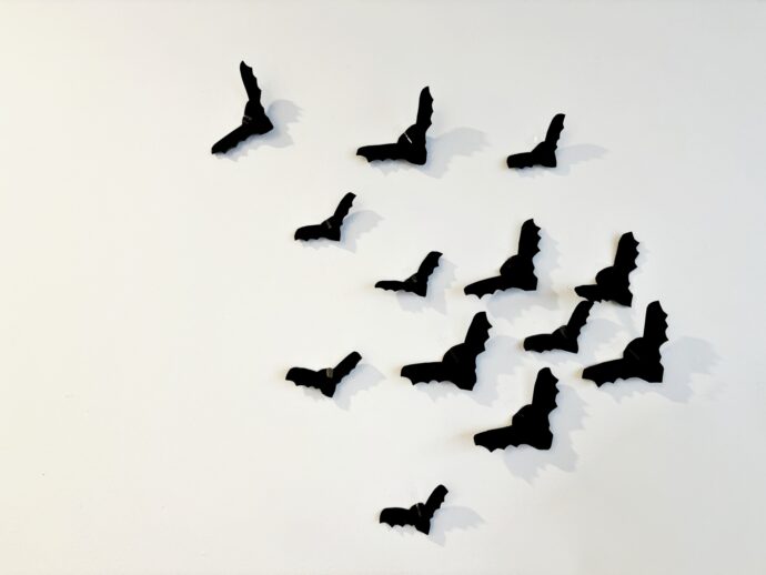 Halloweenští netopýři na zdi. Autor: © K. Pekařová