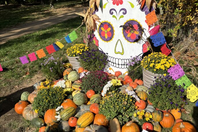 Botanická zahrada Praha. Foto: © KPek