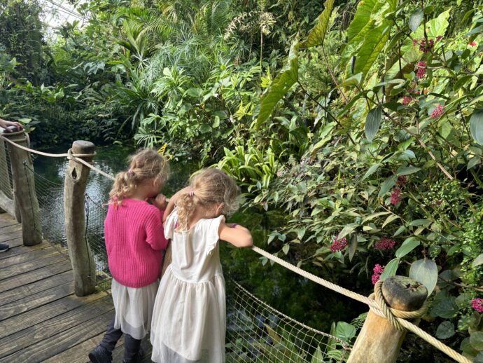 Skleník Fata Morgana je úchvatná podívaná. Botanická zahrada Praha. Foto: © KPek