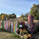 Bludiště. Foto: © KPek