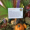 Bludiště. Foto: © KPek