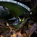 Halloweenská zahrada v Třebenicích. Foto: © KPek