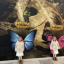 Foto zeď Papilonia Teplice. Foto: © K. Pekařová