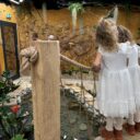 Papilonia Teplice. Foto: © K. Pekařová