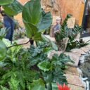 Papilonia Teplice. Foto: © K. Pekařová