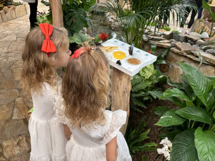 Papilonia Teplice. Foto: ©KPek